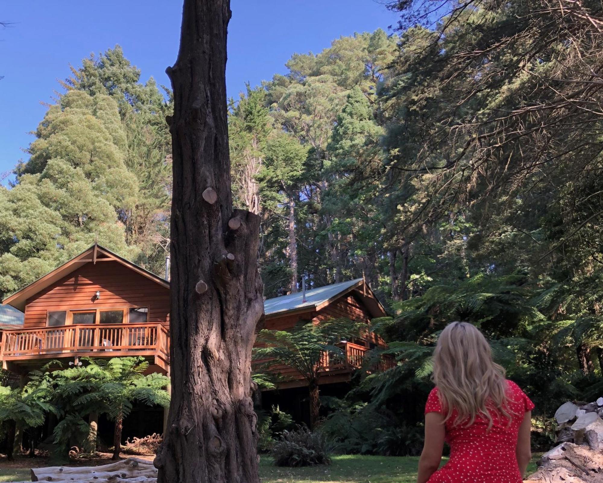 סאסאפראס גולי Chudleigh Park Cottages מראה חיצוני תמונה