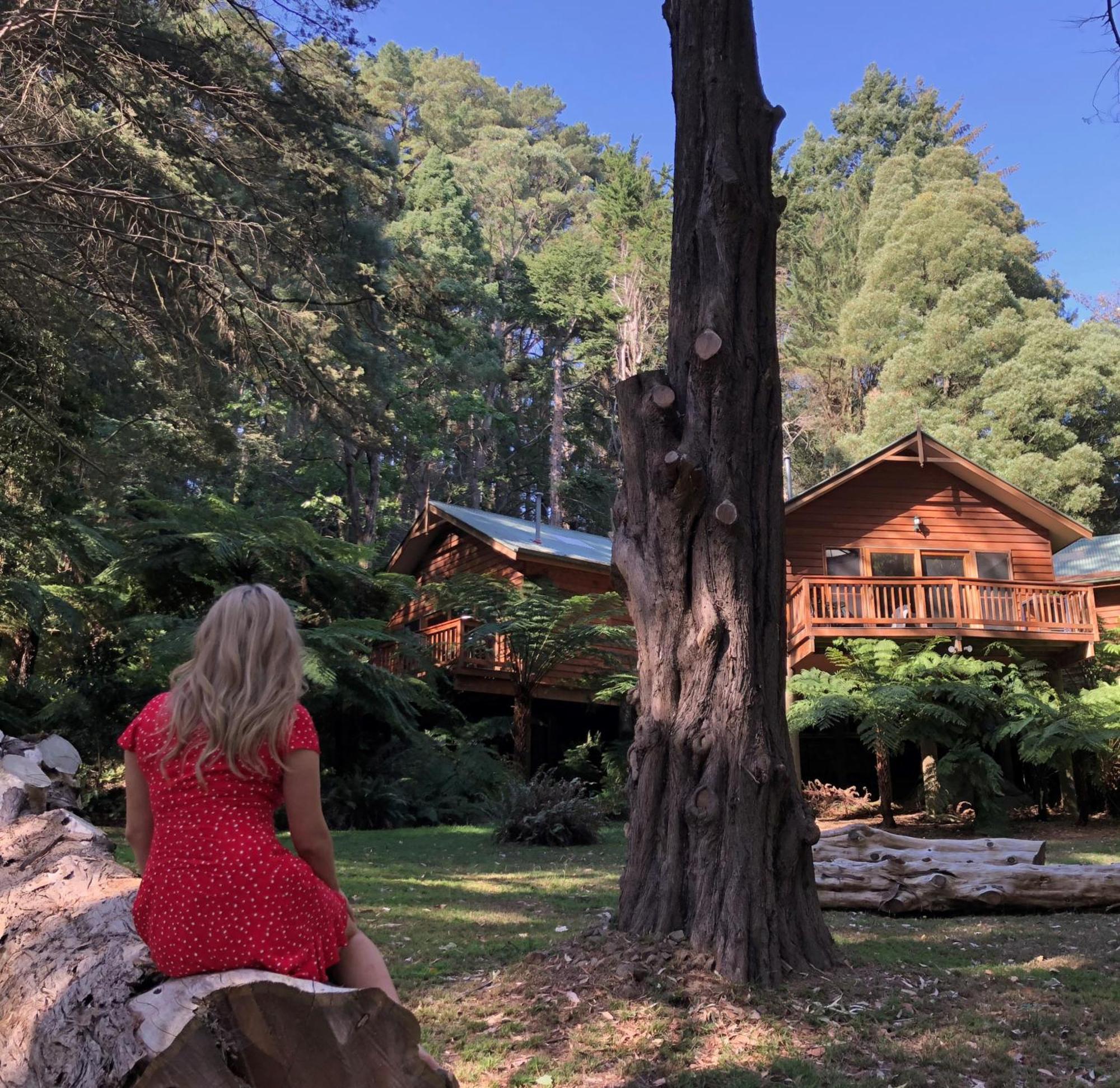 סאסאפראס גולי Chudleigh Park Cottages מראה חיצוני תמונה